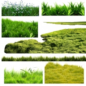 ModernGrass