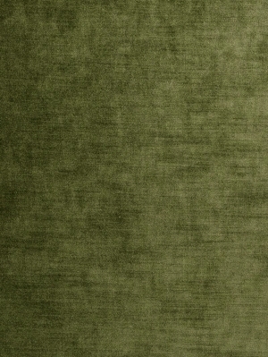 ModernGrass