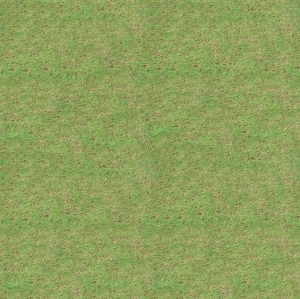 ModernGrass