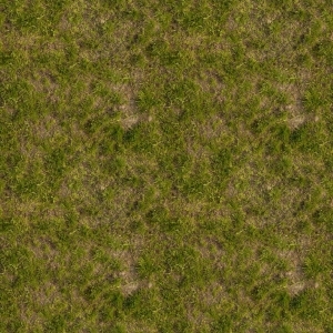 ModernGrass