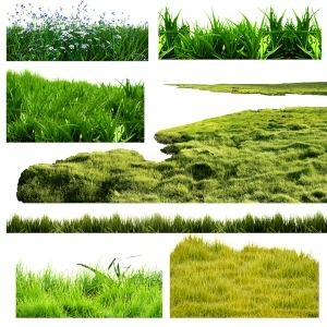 ModernGrass