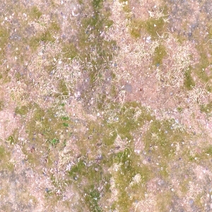 ModernGrass