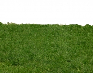 ModernGrass