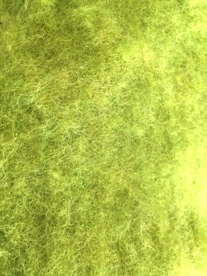 ModernGrass