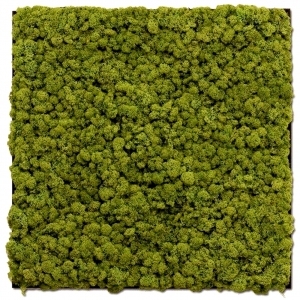 ModernGrass