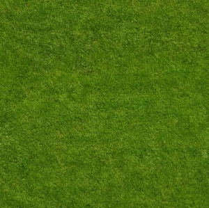 ModernGrass