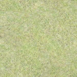 ModernGrass