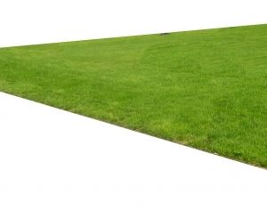 ModernGrass