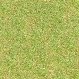 ModernGrass