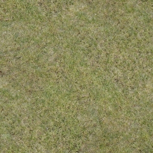 ModernGrass