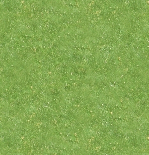 ModernGrass