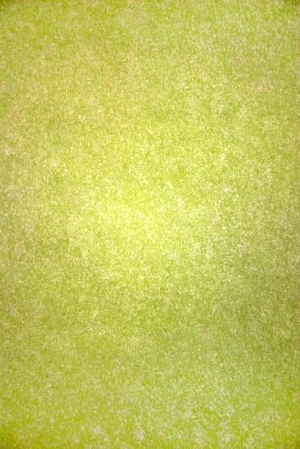 ModernGrass