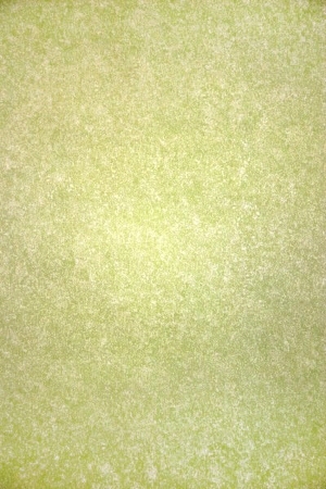 ModernGrass