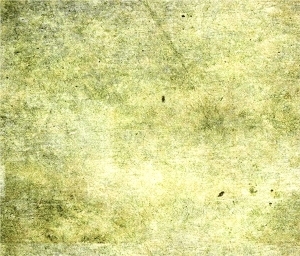 ModernGrass