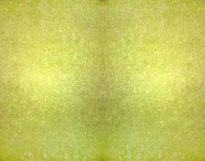 ModernGrass