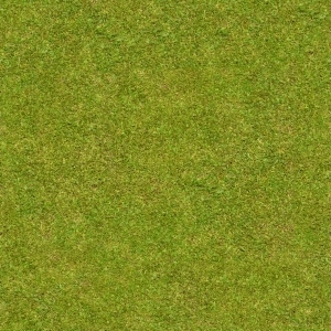 ModernGrass