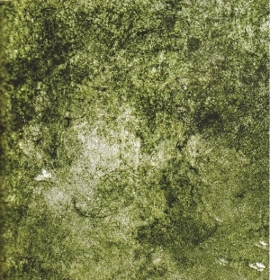 ModernGrass