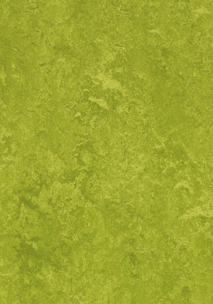 ModernGrass