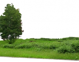 ModernGrass