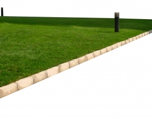 ModernGrass