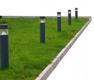 ModernGrass