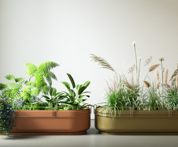 Modern Potted Green Plant-ID:650589514