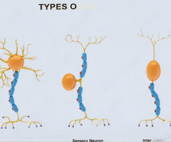 Modern Medical Equipment-ID:878320934