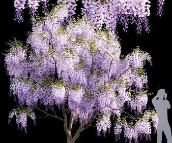 Modern Vine-ID:128768925