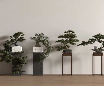 New Chinese Style Bonsai-ID:248270035