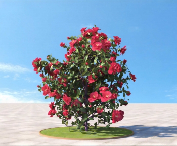 Modern Shrubbery-ID:767513046