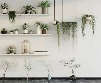 Modern Potted Green Plant-ID:294183025