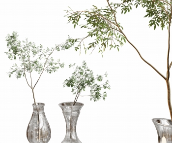 Modern Desktop Plant-ID:924745083