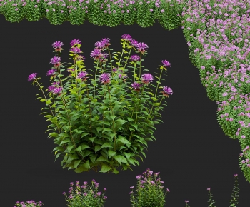 Modern Flowers And Grass-ID:296641111