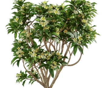 Modern Shrubbery-ID:177728898