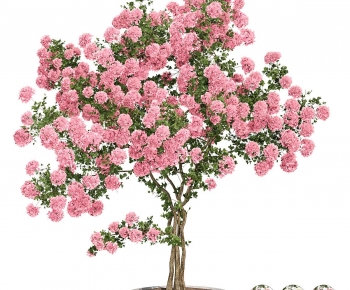 Modern Tree-ID:743396044