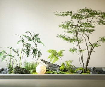 Modern Plant Landscaping-ID:161499028