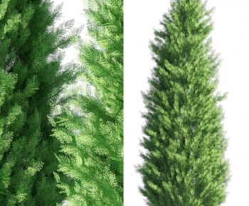 Modern Tree-ID:768280986