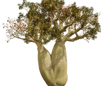 Modern Tree-ID:732593069