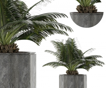 Modern Potted Green Plant-ID:757592929