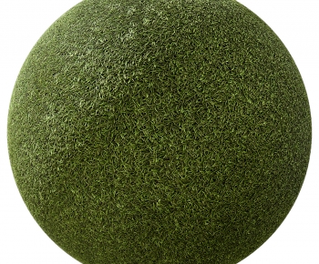 Modern The Grass-ID:657649079