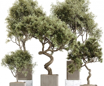 Modern Ground Green Plant Potted Plants-ID:102629779