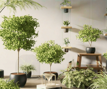 Modern Ground Green Plant Potted Plants-ID:536612037