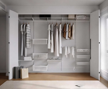 Modern Clothes Storage Area-ID:326776986