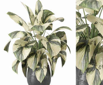 Modern Ground Green Plant Potted Plants-ID:511384015