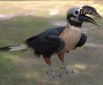 Modern Flying Animals-ID:632802966