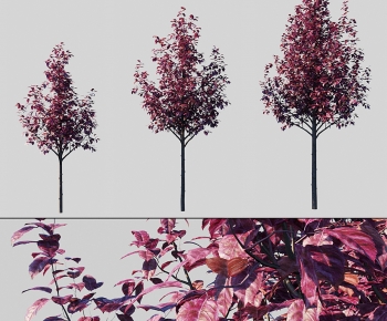 Modern Tree-ID:916742098