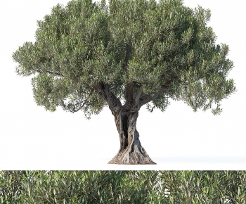 Modern Tree-ID:875619895