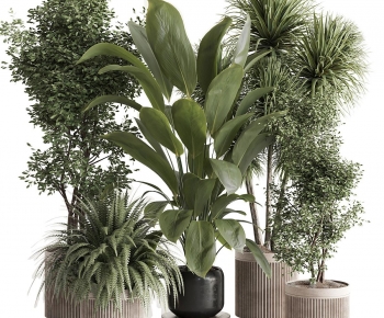 Modern Ground Green Plant Potted Plants-ID:765496974