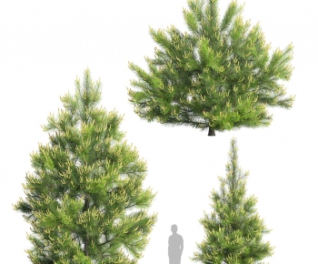 Modern Tree-ID:687849575