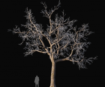 Modern Tree-ID:599818946